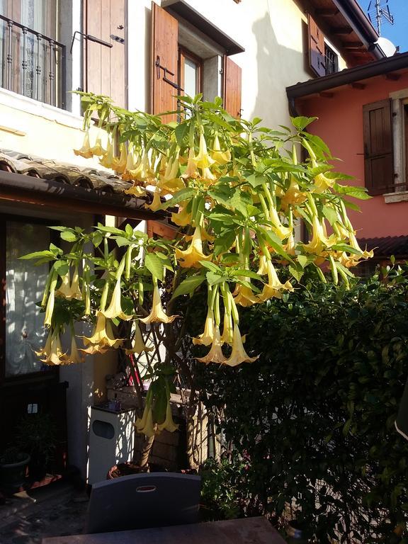 مبيت وإفطار باردولينو La Carbonara 6 المظهر الخارجي الصورة
